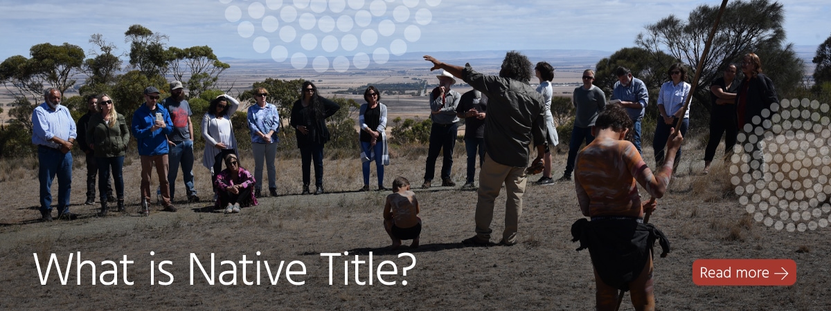 Home [www.nativetitlesa.org]