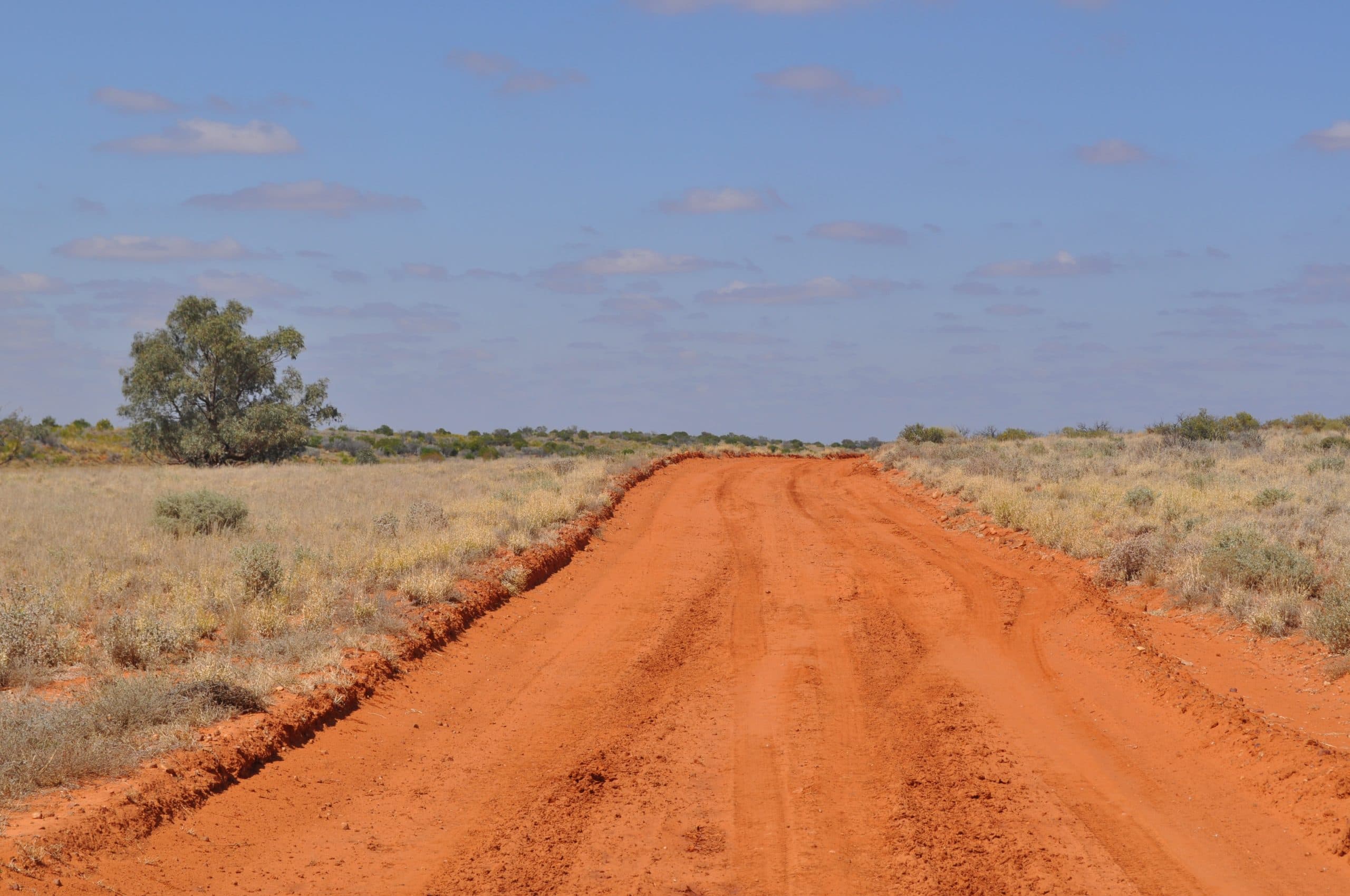 Featured image for “Oodnadatta Overlap Trial update”