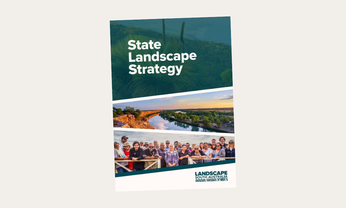Featured image for “Landscape SA has released its ten-year State Landscape Strategy”