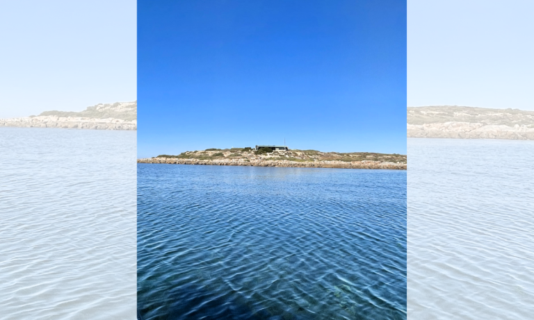 Comment on Mayibarrdu / Goose Island returning to Narungga Nation by Mayibarrdu / Goose Island returning to Narungga Nation - Narungga Nation Aboriginal Corporation